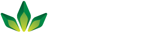 Ausmedicann